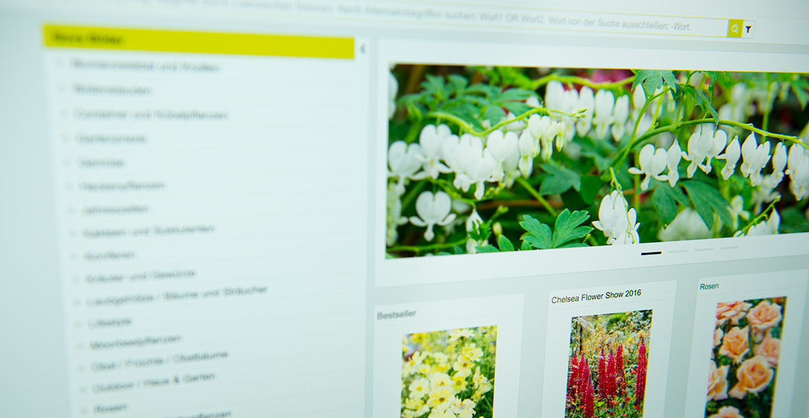 Über 100.000 digitale Pflanzenbilder in einer Datenbank - direkt abrufbar.